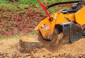 Lawn Maintenance Plans in Atlantic Beach, FL